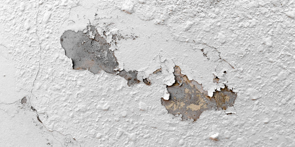 Pintar Fachadas de Naves Industriales, Fábricas y Almacenes Santa Coloma de Gramenet · Pintura Antihumedad / Antimoho para Humedades / Moho
